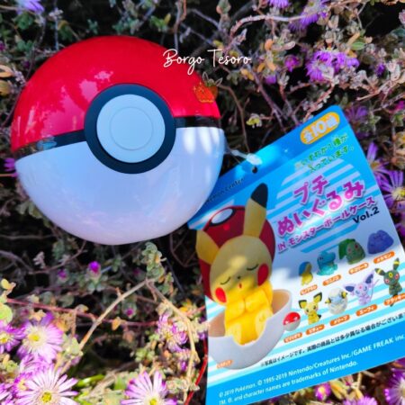Peluche nella Poké Ball - Ver. Johto