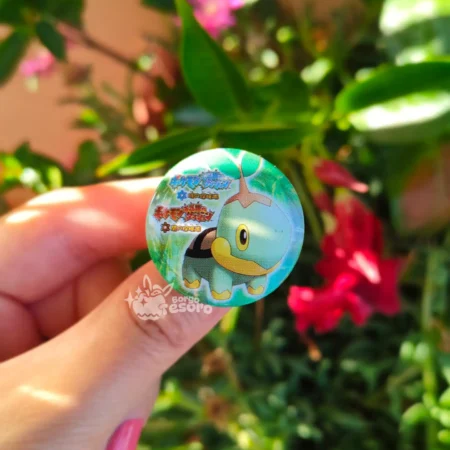 Turtwig Spilla Pokémon Mystery Dungeon Explorers