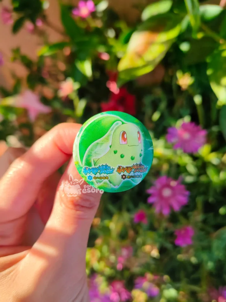 Chikorita Spilla Pokémon Mystery Dungeon Explorers
