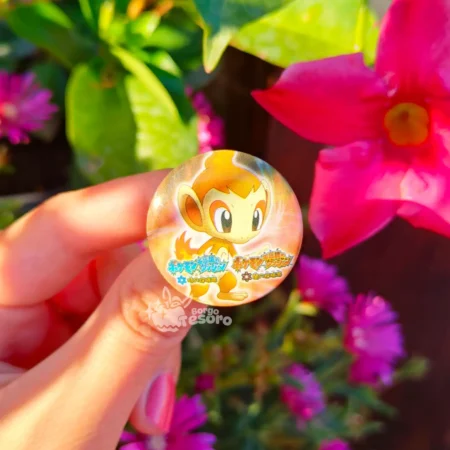 Chimchar Spilla Pokémon Mystery Dungeon Explorers
