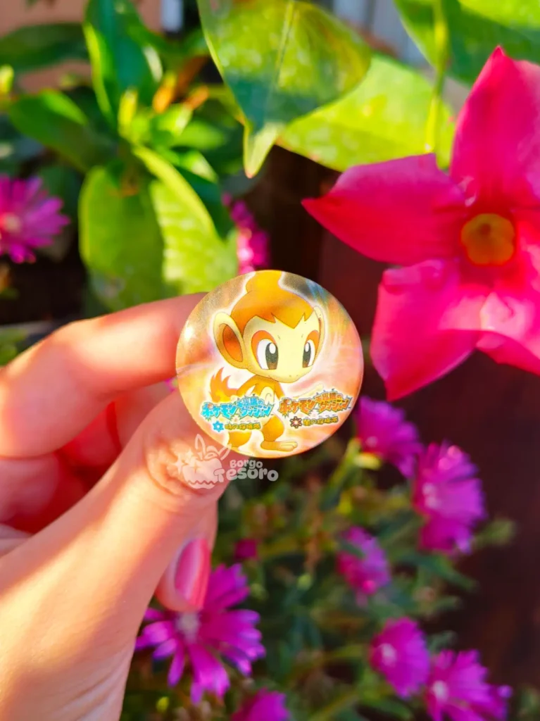 Chimchar Spilla Pokémon Mystery Dungeon Explorers