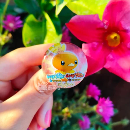 Torchic Spilla Pokémon Mystery Dungeon Explorers