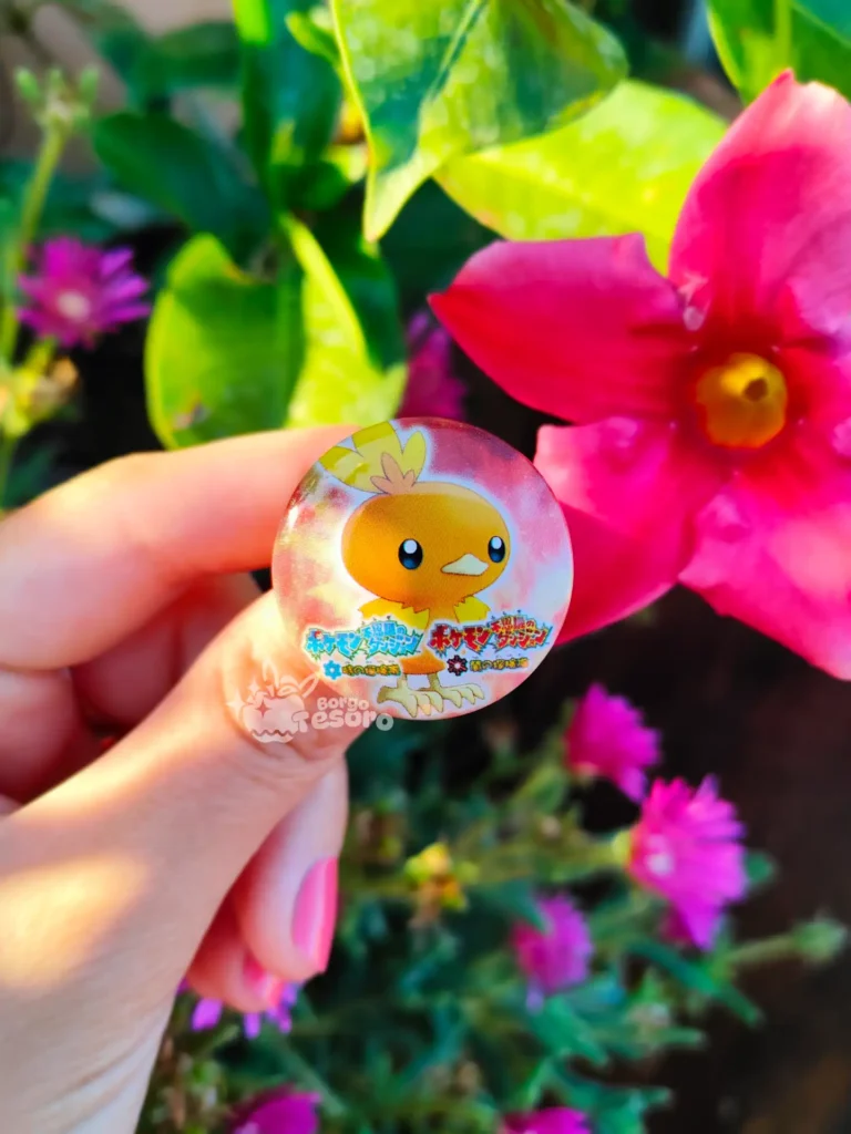 Torchic Spilla Pokémon Mystery Dungeon Explorers