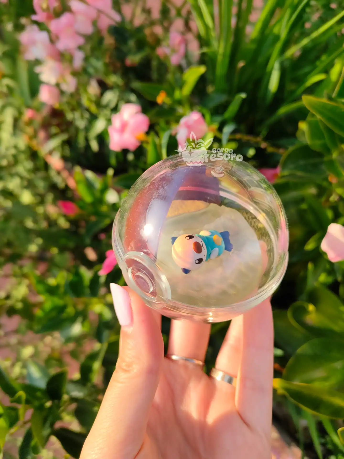 Oshawott Pokémon Rement Terrarium - immagine 2