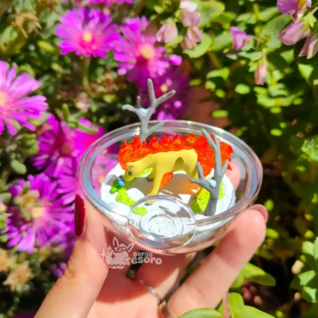 Ponyta Pokémon Rement Terrarium