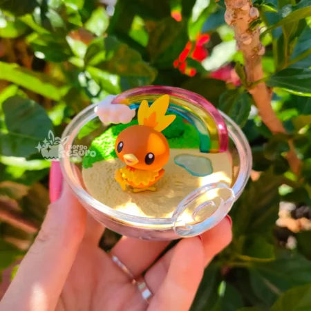 Torchic Pokémon Rement Terrarium