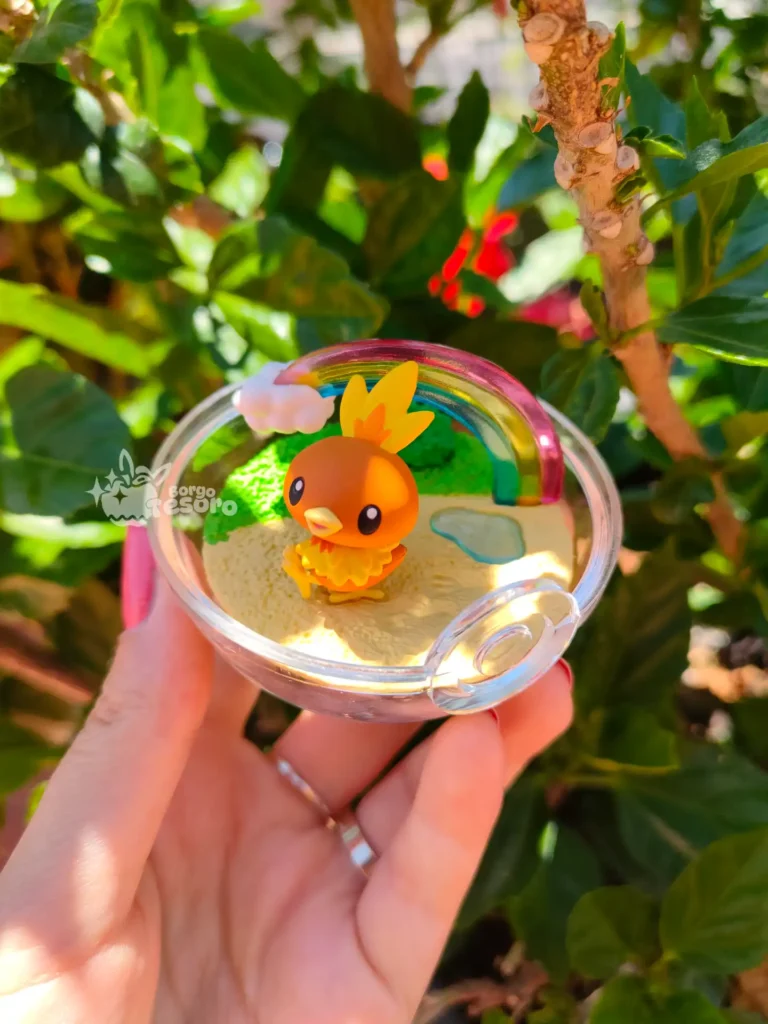 Torchic Pokémon Rement Terrarium