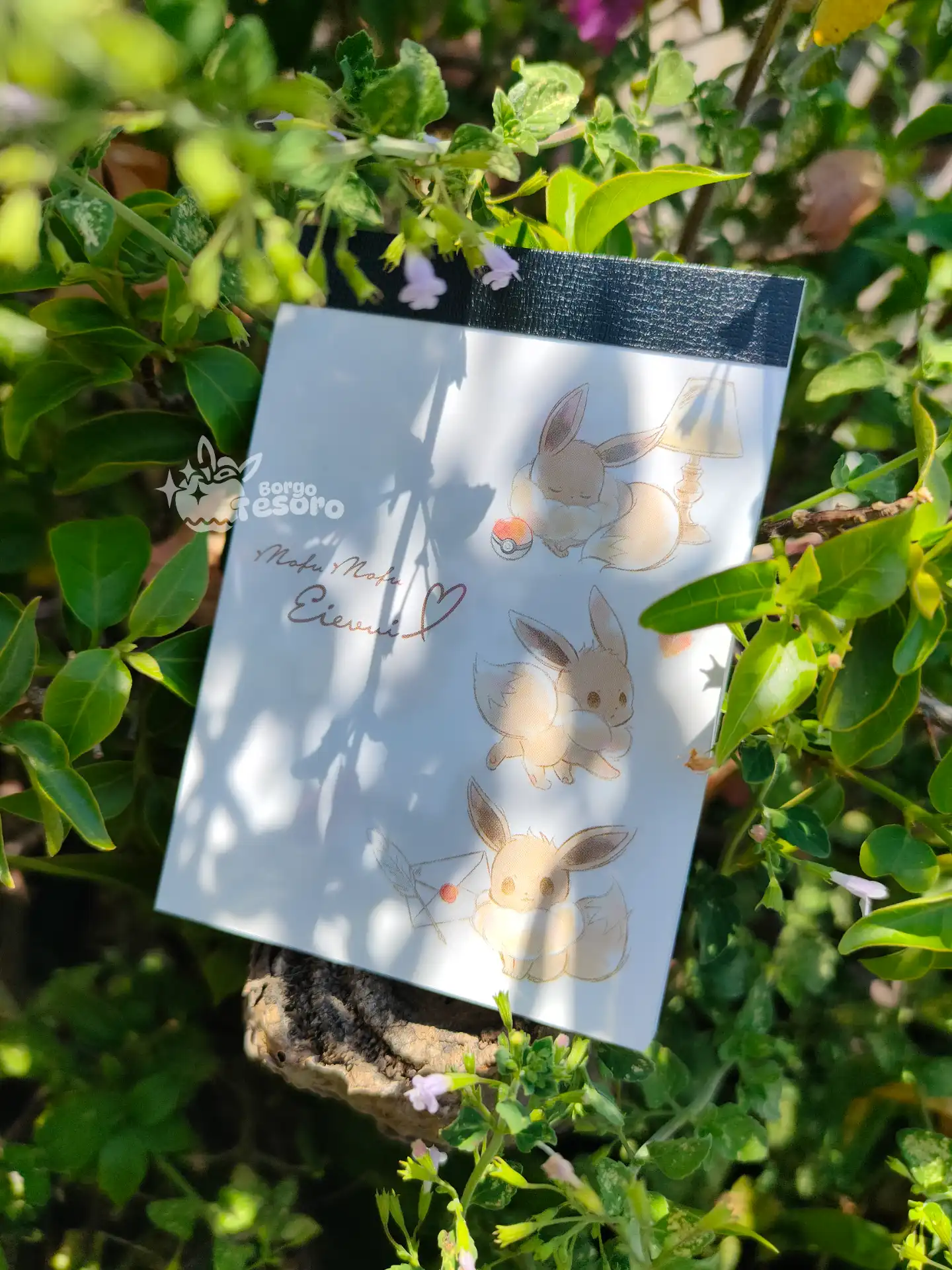 Blocco Note Eevee Pokémon Wonderful Moments