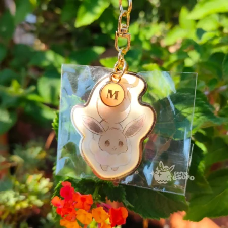 Eevee (M) Pokémon Initial Keyholder