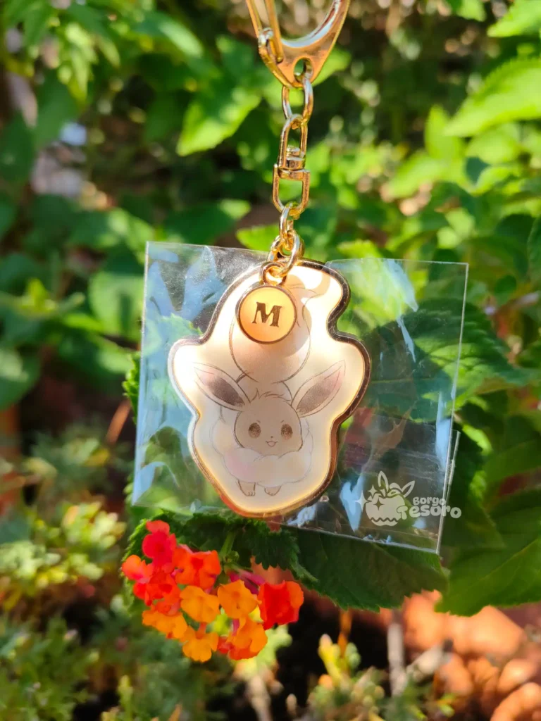 Eevee (M) Pokémon Initial Keyholder