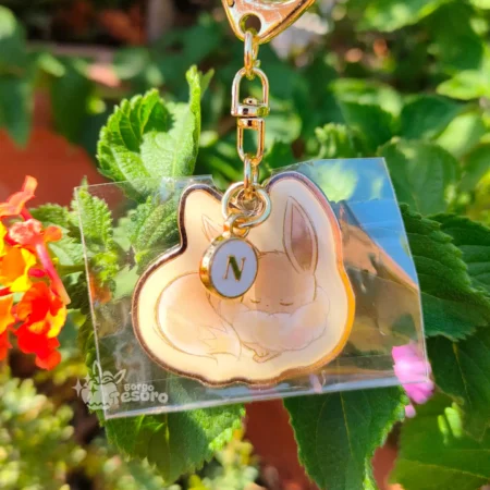 Eevee (N) Pokémon Initial Keyholder