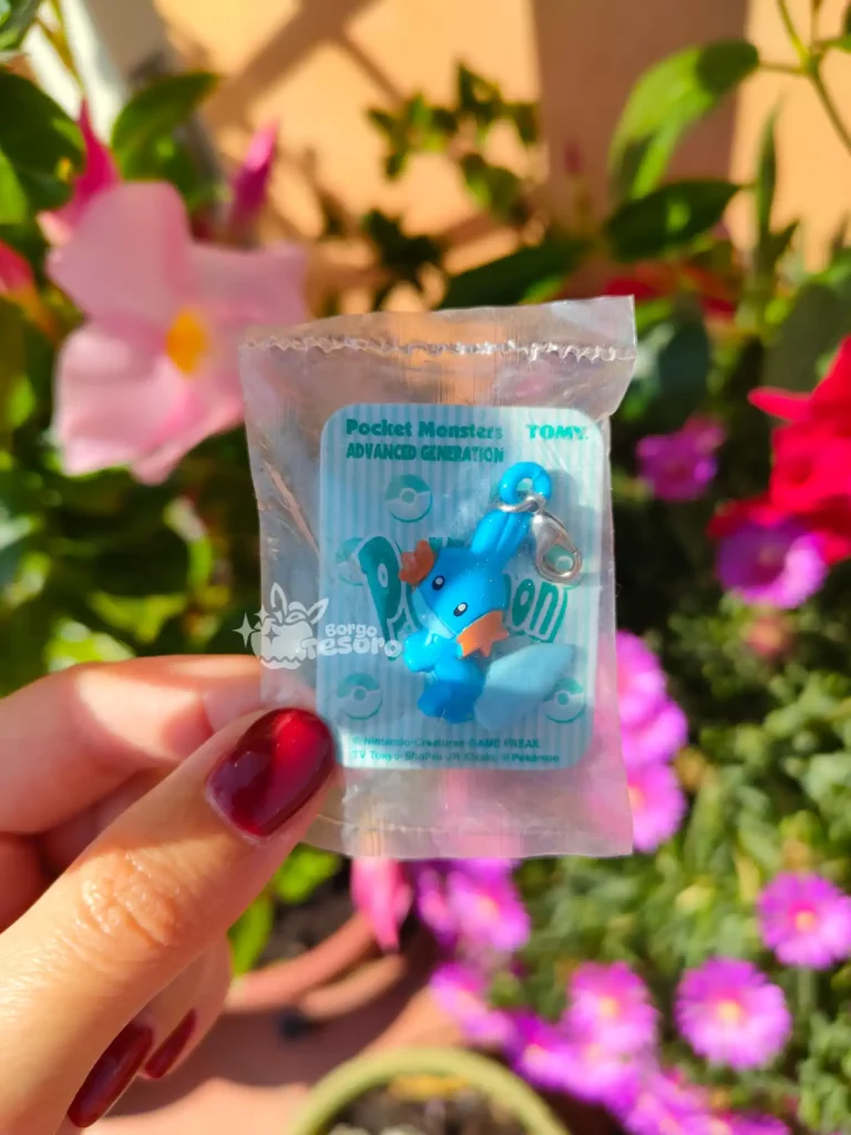 Mudkip Pokémon Advanced Generation Vintage Charm