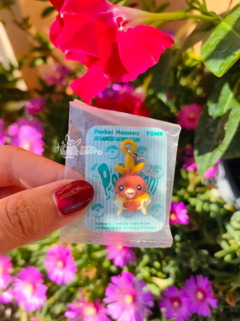 Torchic Pokémon Advanced Generation Vintage Charm