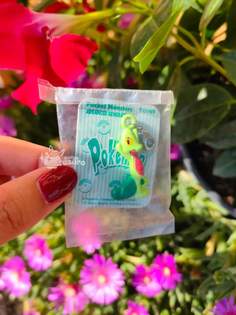 Treecko Pokémon Advanced Generation Vintage Charm